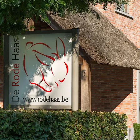 De Rode Haas Haasrode