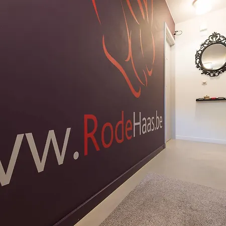 De Rode Haas Pensjonat Haasrode